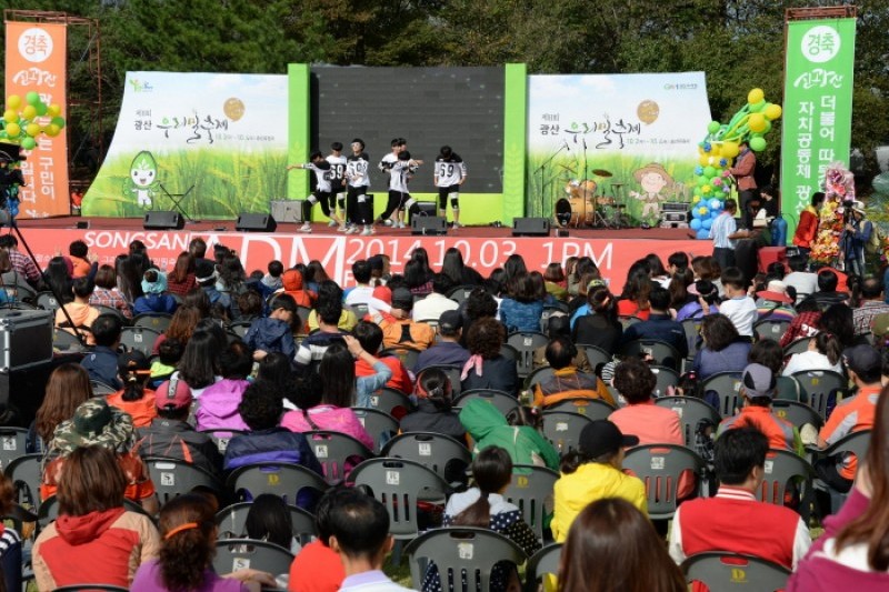 光山韓国麦文化祭り (14/14)