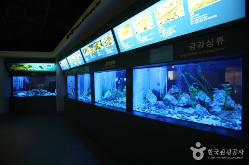 大清ダム水文化館 (10/19)