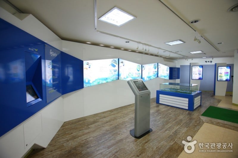 大清ダム水文化館 (17/19)