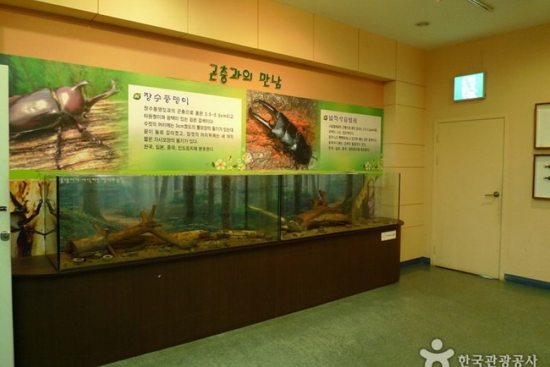 大清湖自然生態館 (1/21)