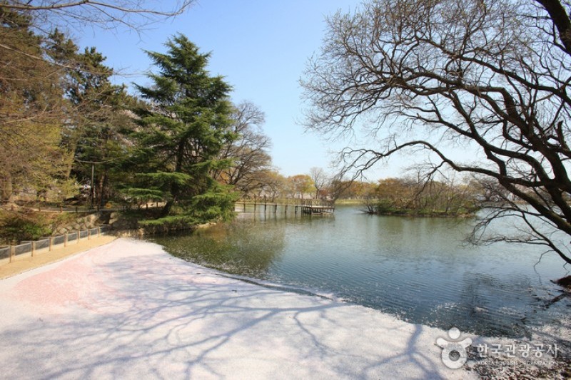鎮海内水面環境生態公園 (3/19)