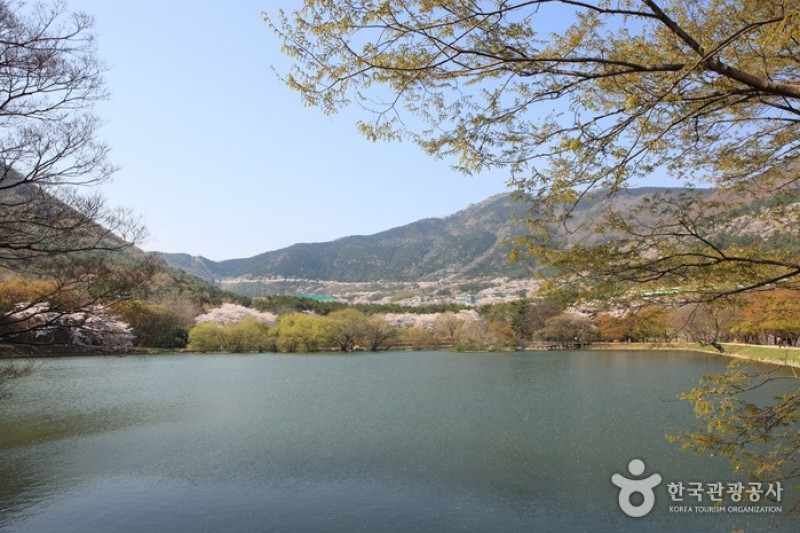 鎮海内水面環境生態公園 (7/19)
