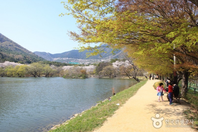 鎮海内水面環境生態公園 (9/19)