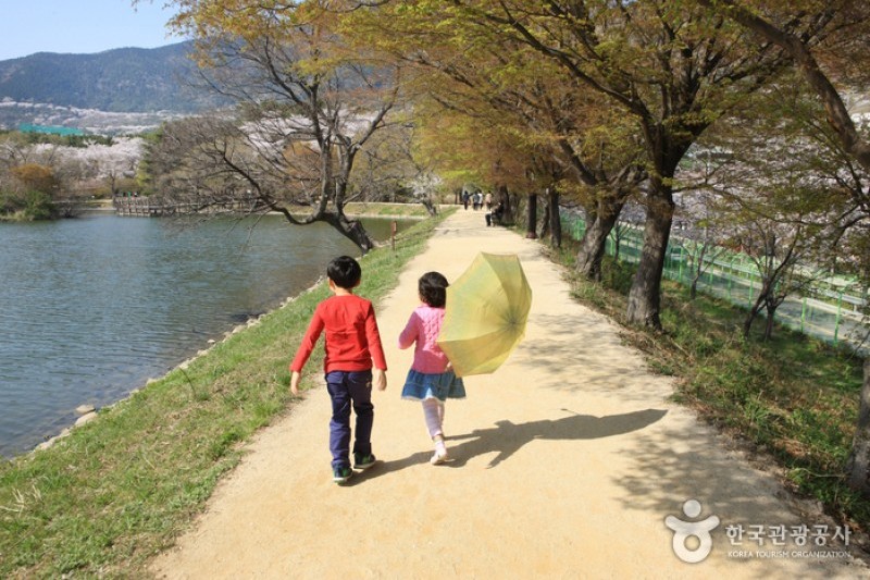 鎮海内水面環境生態公園 (10/19)
