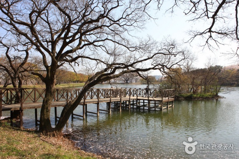 鎮海内水面環境生態公園 (11/19)