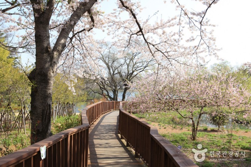 鎮海内水面環境生態公園 (12/19)