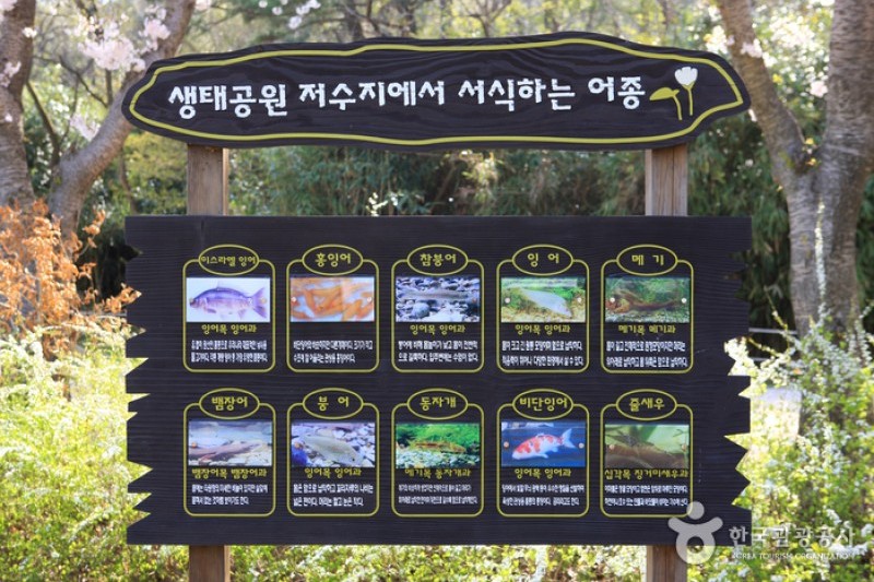 鎮海内水面環境生態公園 (13/19)