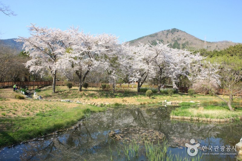 鎮海内水面環境生態公園 (15/19)
