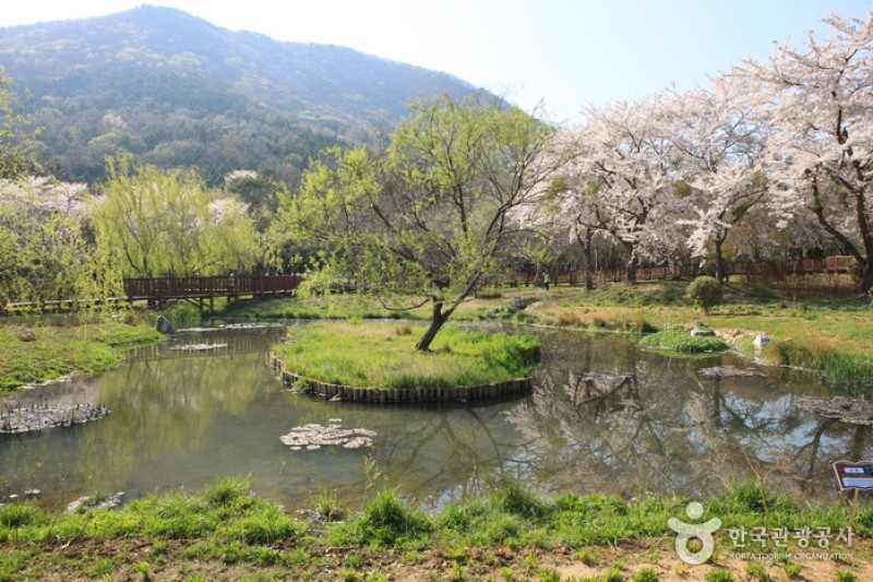 鎮海内水面環境生態公園 (16/19)