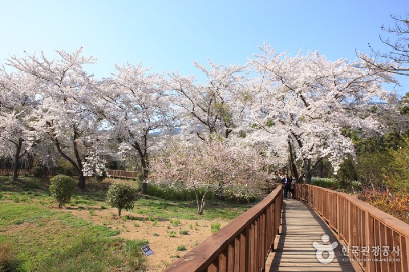鎮海内水面環境生態公園 (17/19)