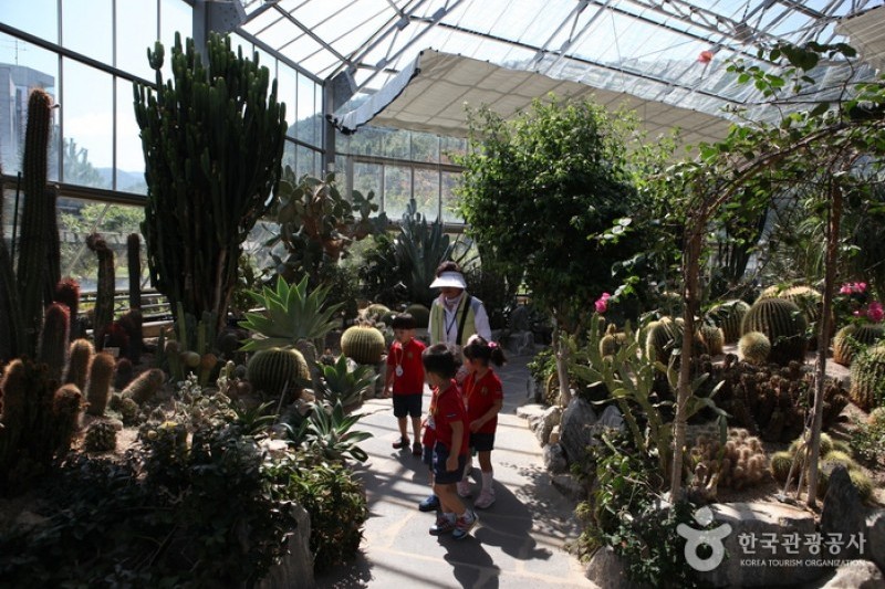 大邱樹木園 (2/4)