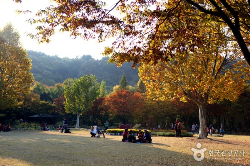 大邱樹木園 (4/4)