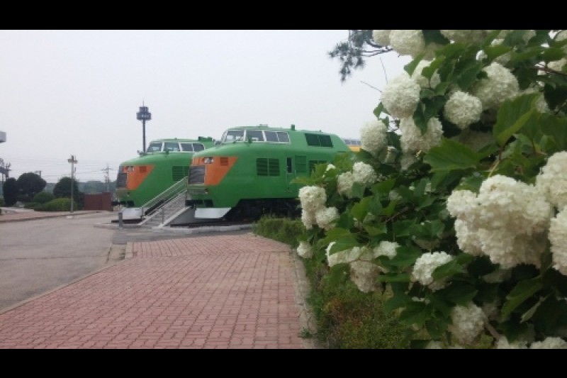 鉄道博物館 (21/24)