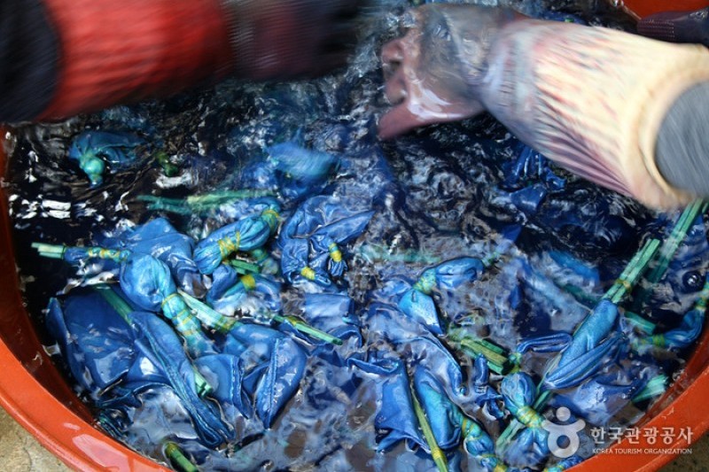 自然染色博物館 (15/17)