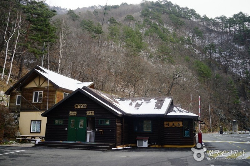 国立米川谷自然休養林 (8/12)