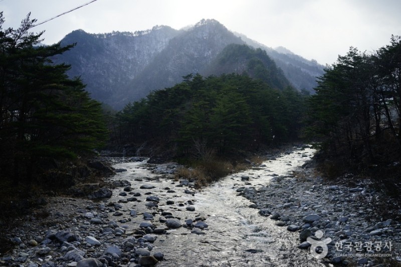 国立米川谷自然休養林 (12/12)