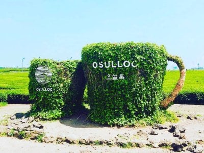 オーソロックティーミュージアム o'sulloc