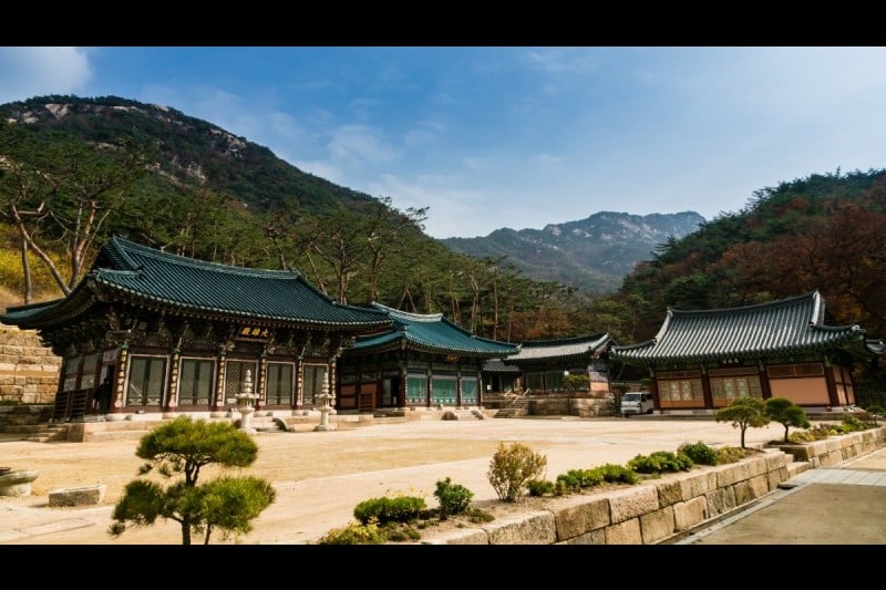 津寛寺 (6/11)