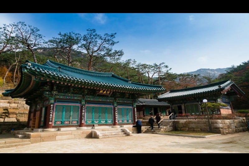 津寛寺 (8/11)
