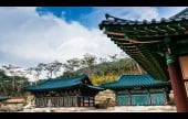 津寛寺