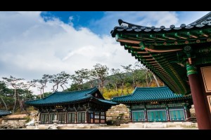 津寛寺