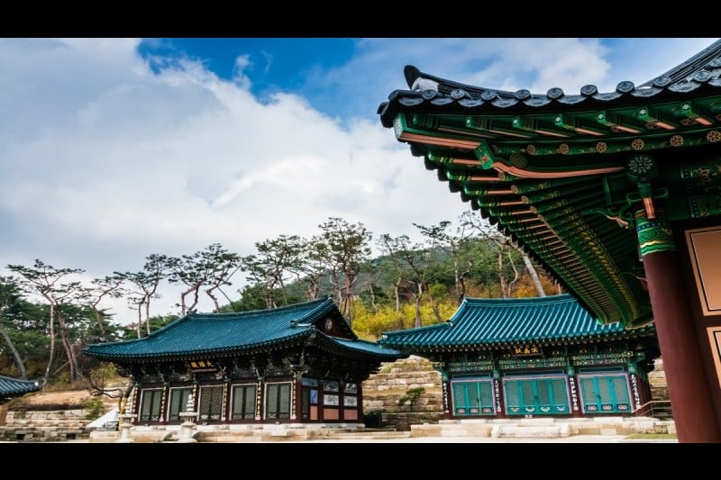 津寛寺 (10/11)