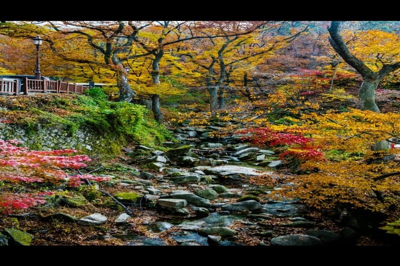 津寛寺 (11/11)