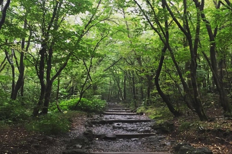 漢拏山国立公園 (14/19)