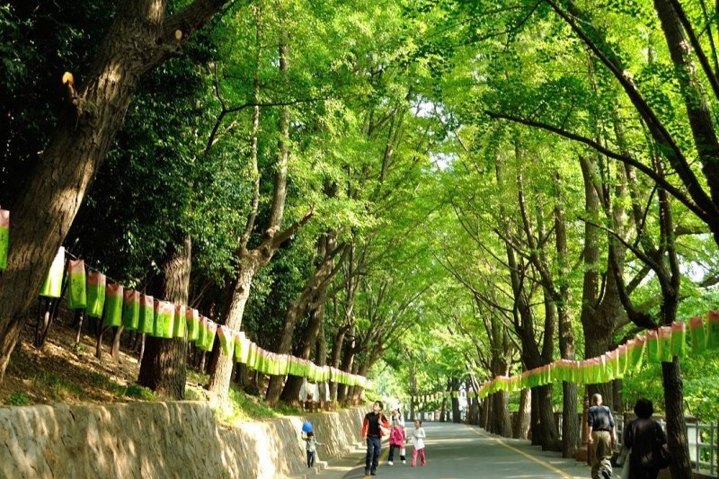 龍頭山公園 (9/10)