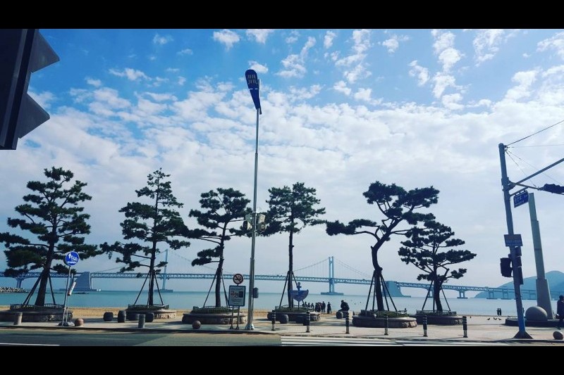 広安里海水浴場 (15/16)