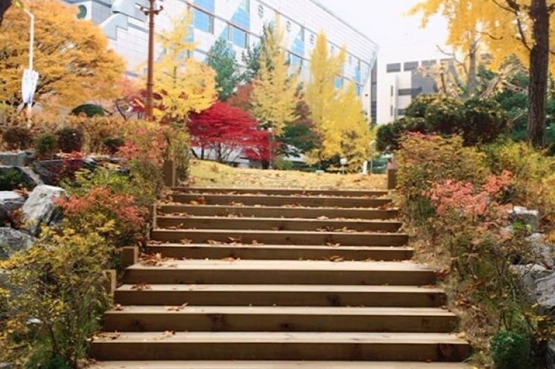 ソウル大学 (2/9)