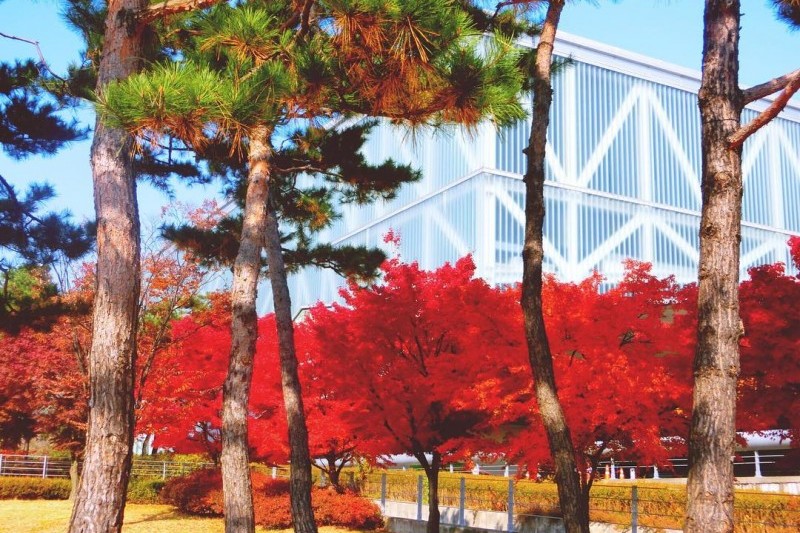 ソウル大学 (3/9)