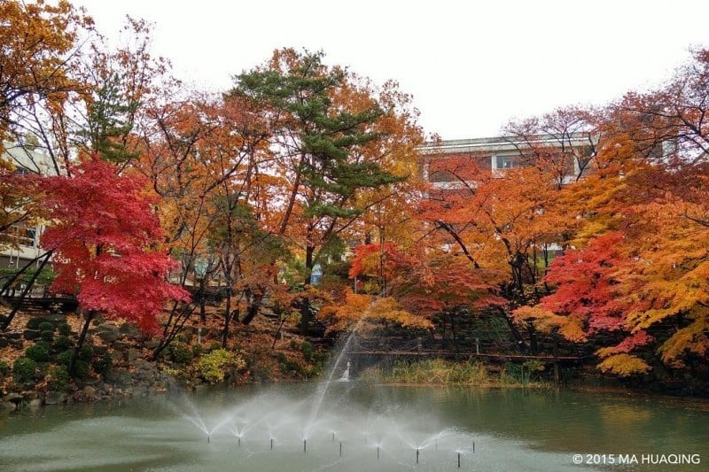 ソウル大学 (4/9)