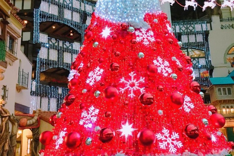 ロッテワールドクリスマスフェスティバル (6/7)