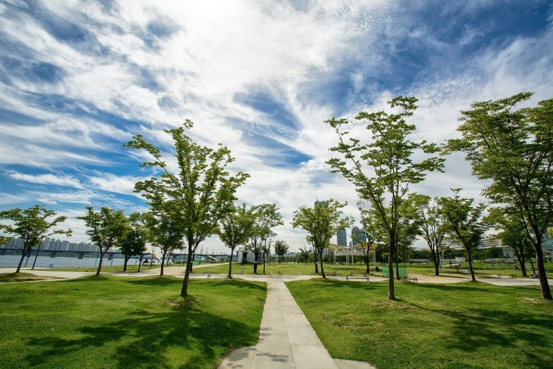 漢江市民公園 汝矣島地区（汝矣島漢江公園）한강시민공원 여의도지구 (11/12)