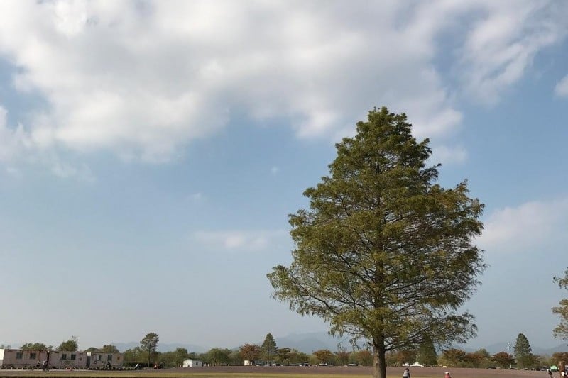 三楽生態公園 (3/5)