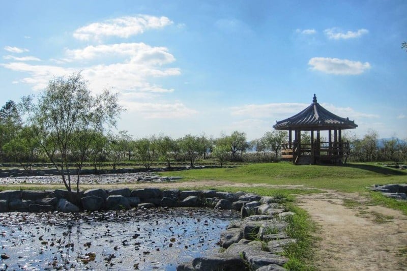 三楽生態公園 (5/5)