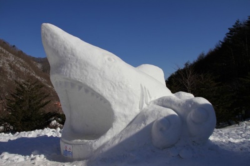 太白山雪祭り (2/11)