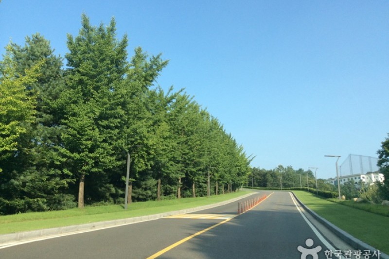 JISAN COUNTRY CLUB (4/6)