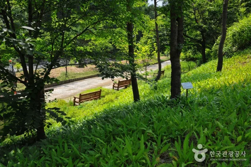 明智山郡立公園 (7/8)