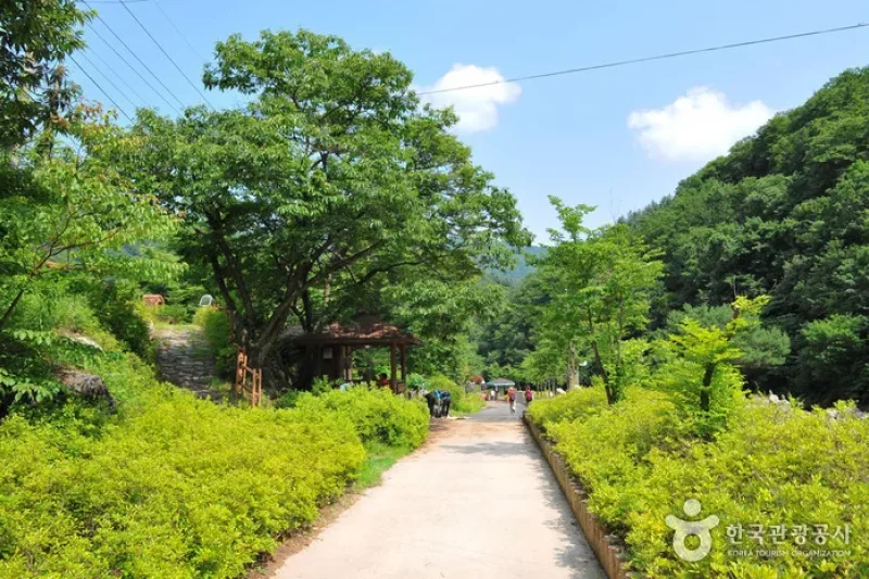 明智山郡立公園 (8/8)