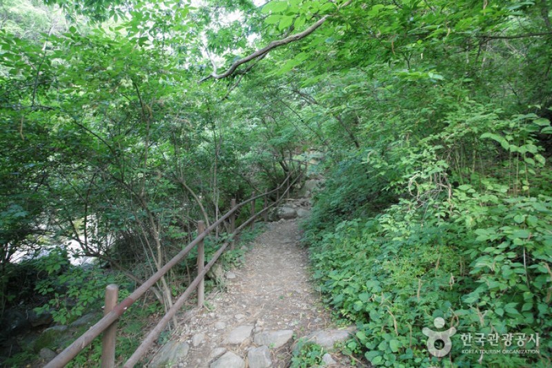 智異山国立公園 (6/7)