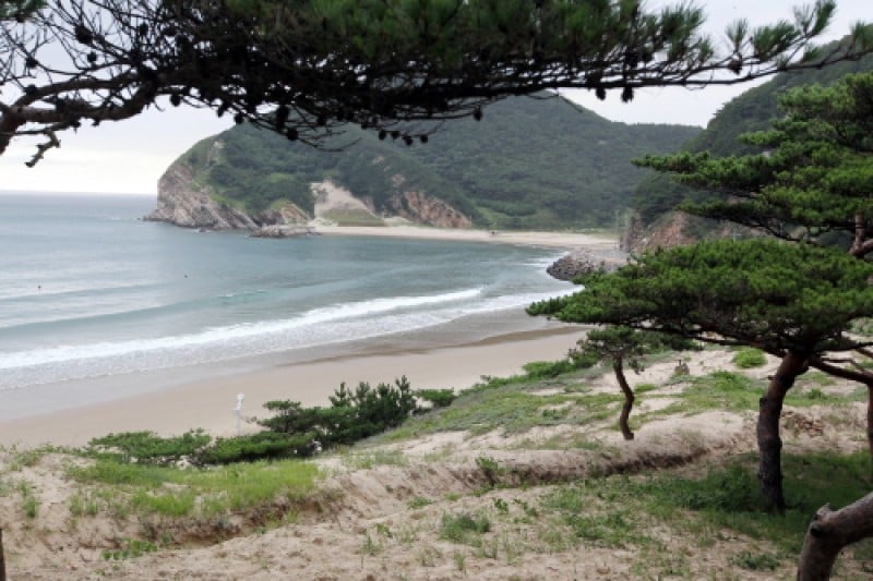 大青島 (45/48)