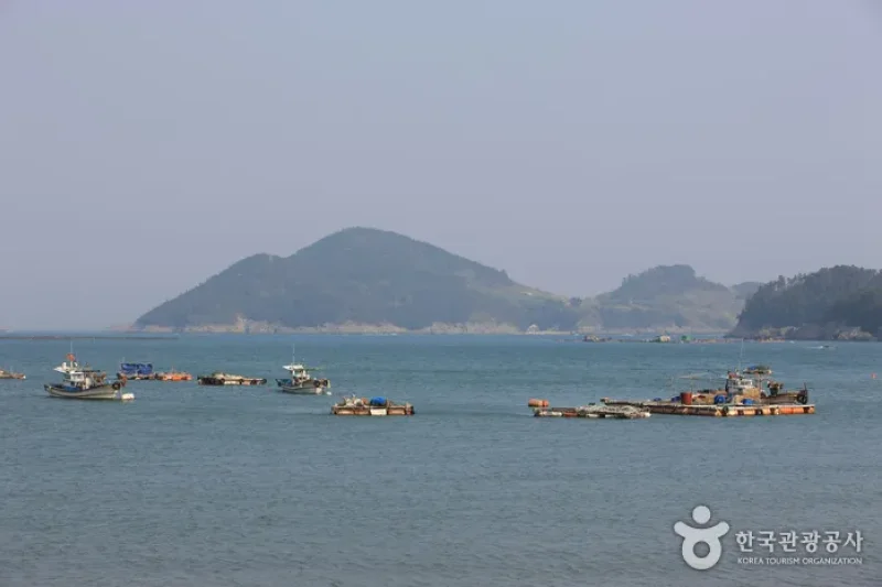 閑麗海上国立公園（泗川）（한려해상국립공원(사천)） (6/11)