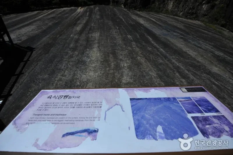 和順 西酉里 恐龍足跡化石産地 (4/5)