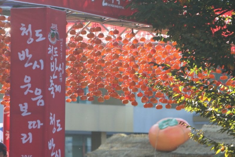 淸道盤柿祭り (8/11)
