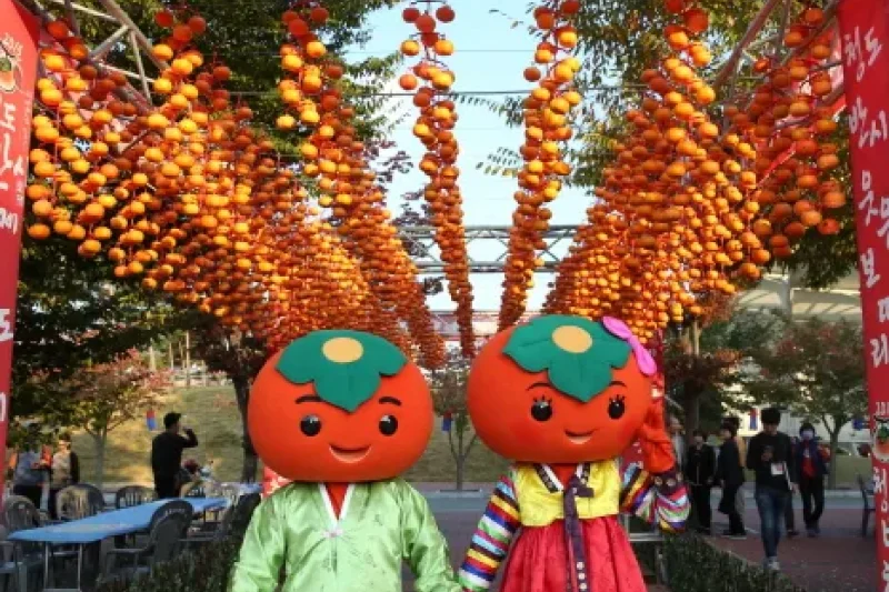 淸道盤柿祭り (9/11)