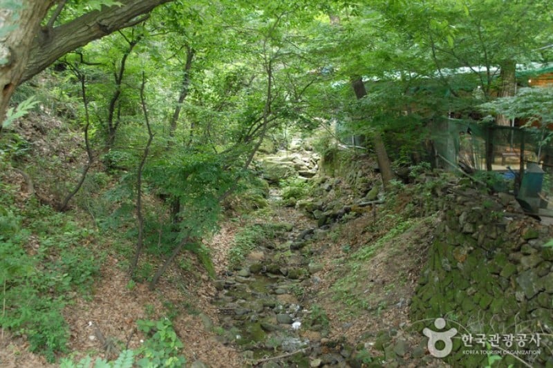 宝文山大公園 (4/26)