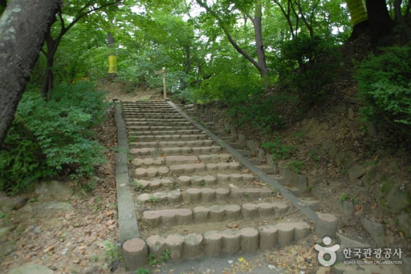 宝文山大公園 (6/26)
