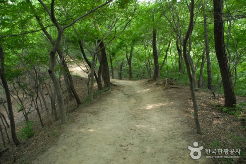 宝文山大公園 (7/26)